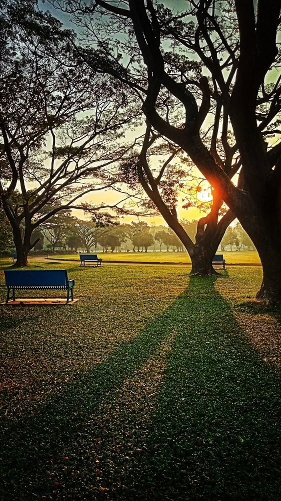 Morning Atmosphere