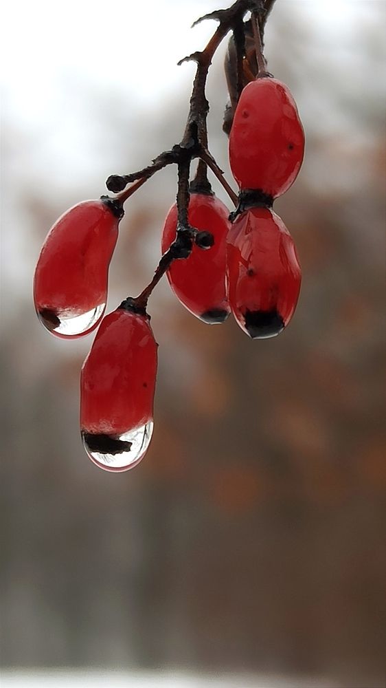 Photograph by Людмила Щуцкая