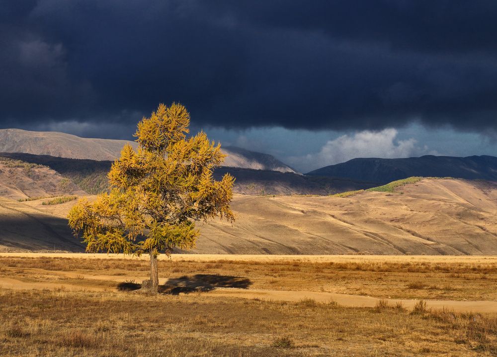 Photograph by Галина Хвостенко