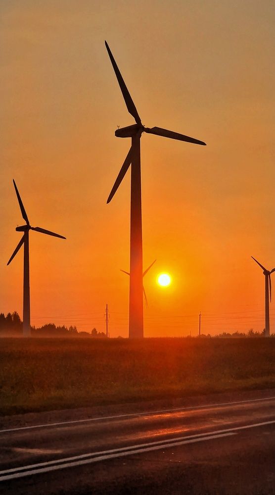 Photograph by Vera Nefedova