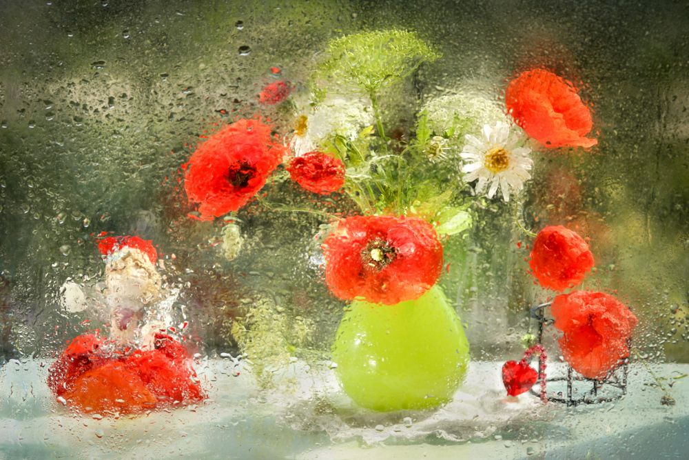 Photograph by Шруб (Беляева) Татьяна