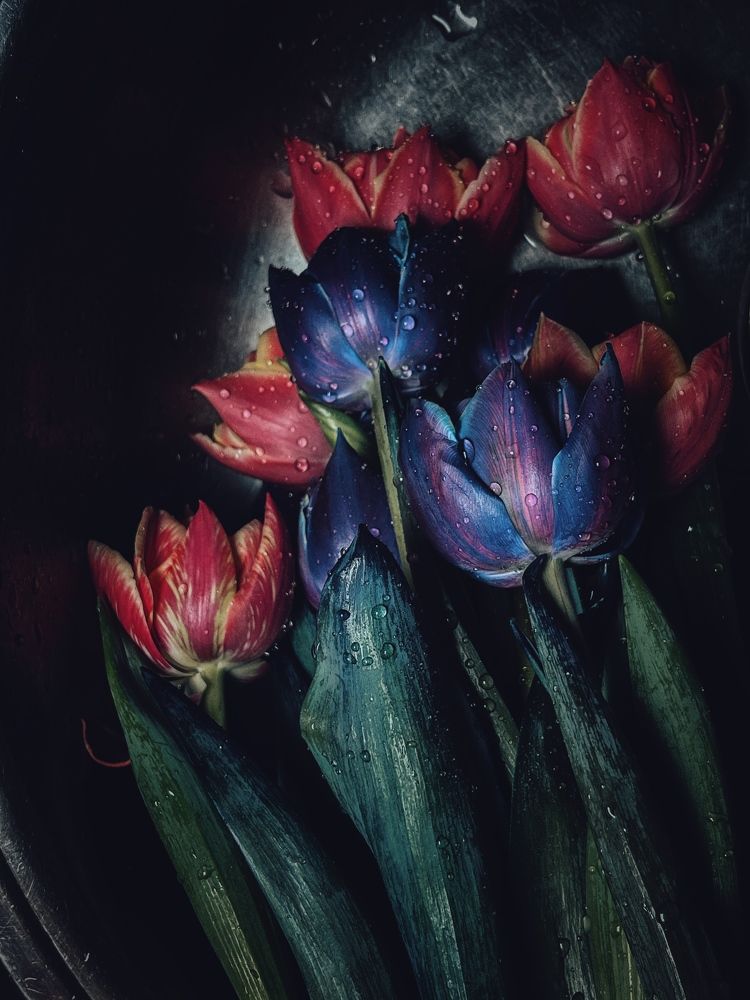 Photograph by Олена Уманцева