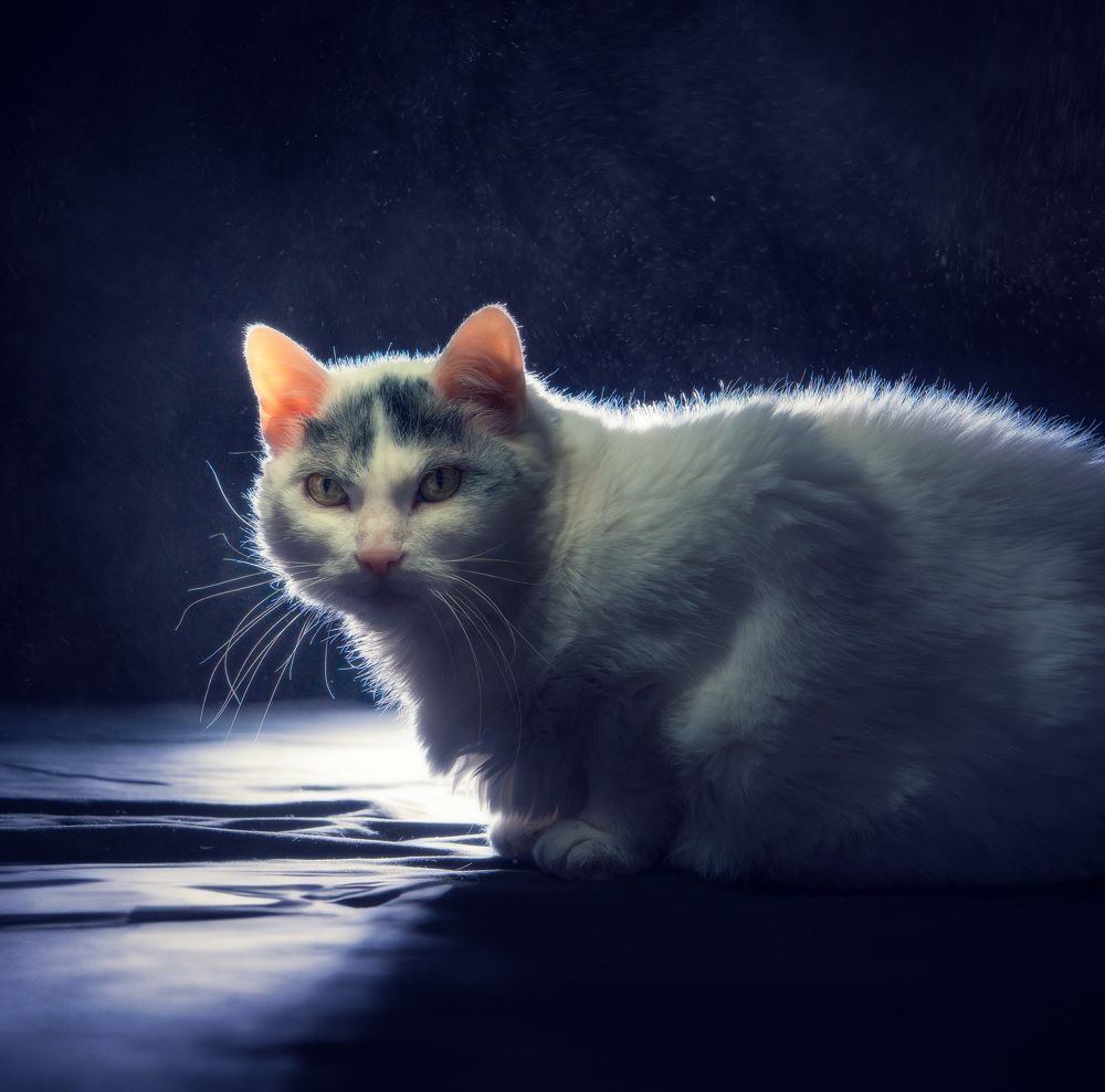 Photograph by Jorge Sastre