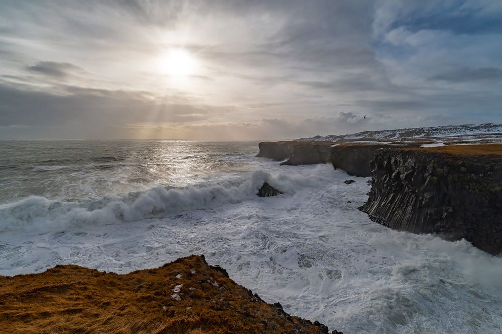 Photograph by Massimo Tamajo