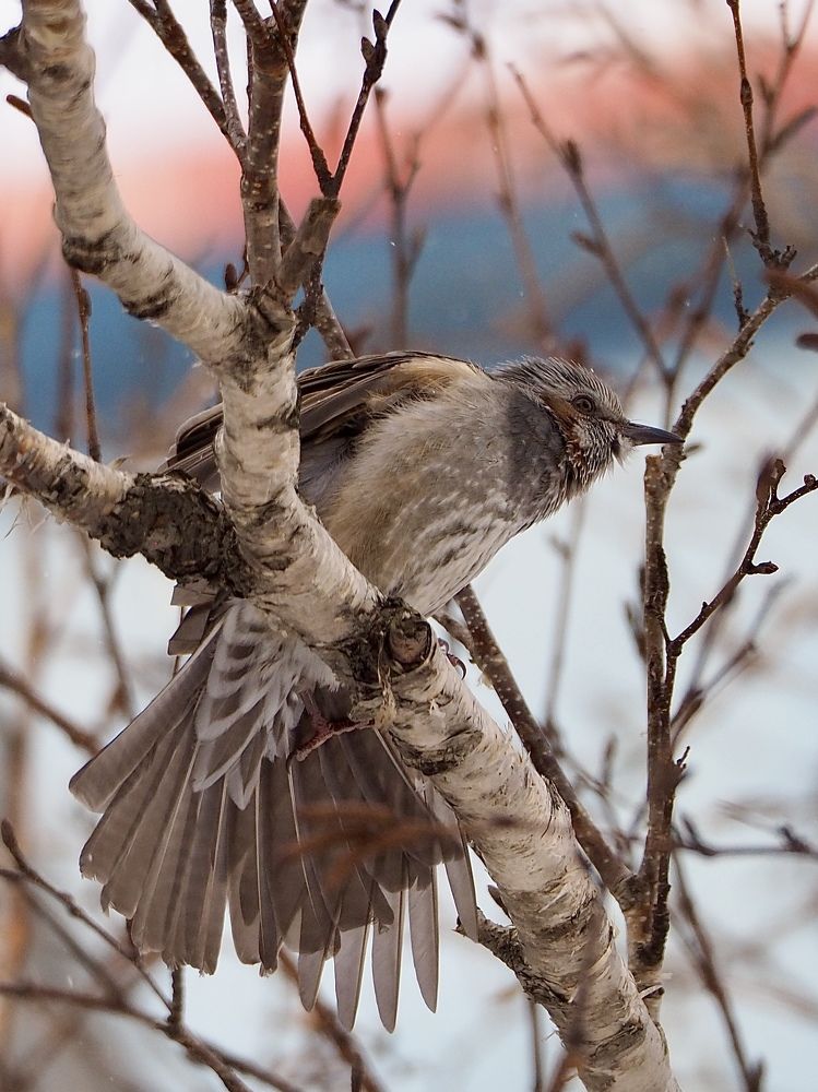 Photograph by Юлия Поршнева