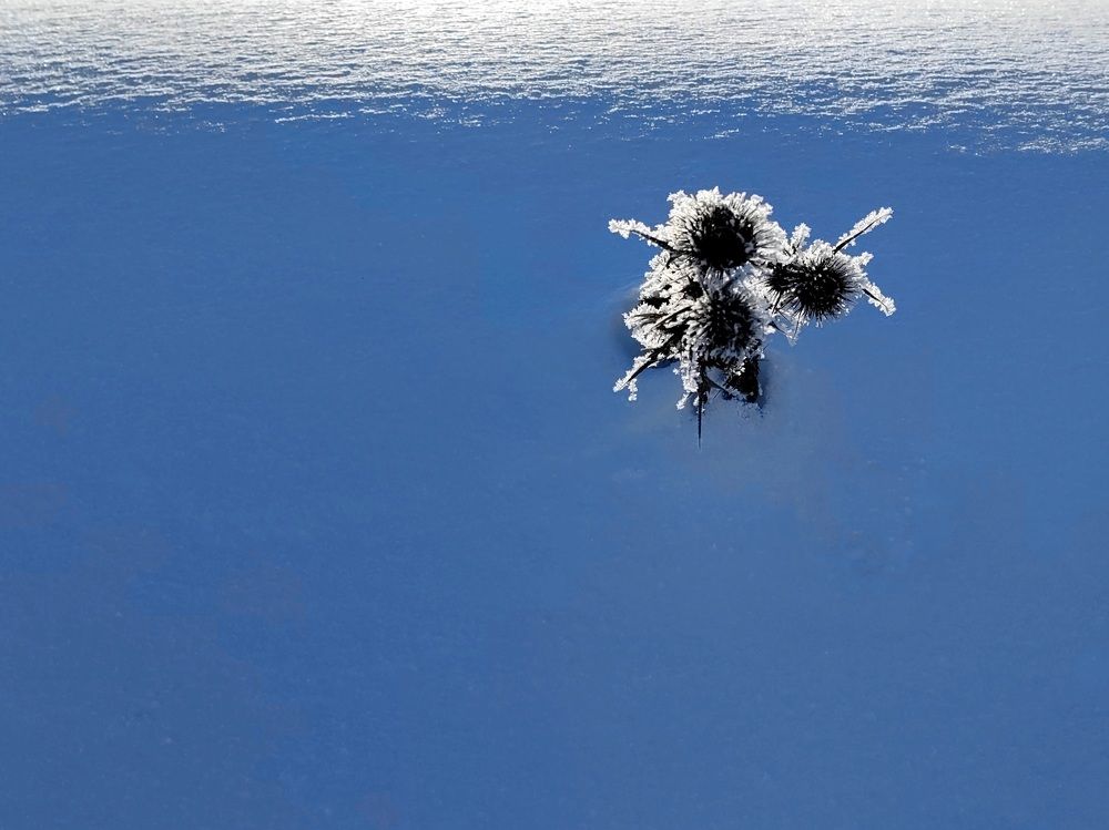 Photograph by Михаил Янкин