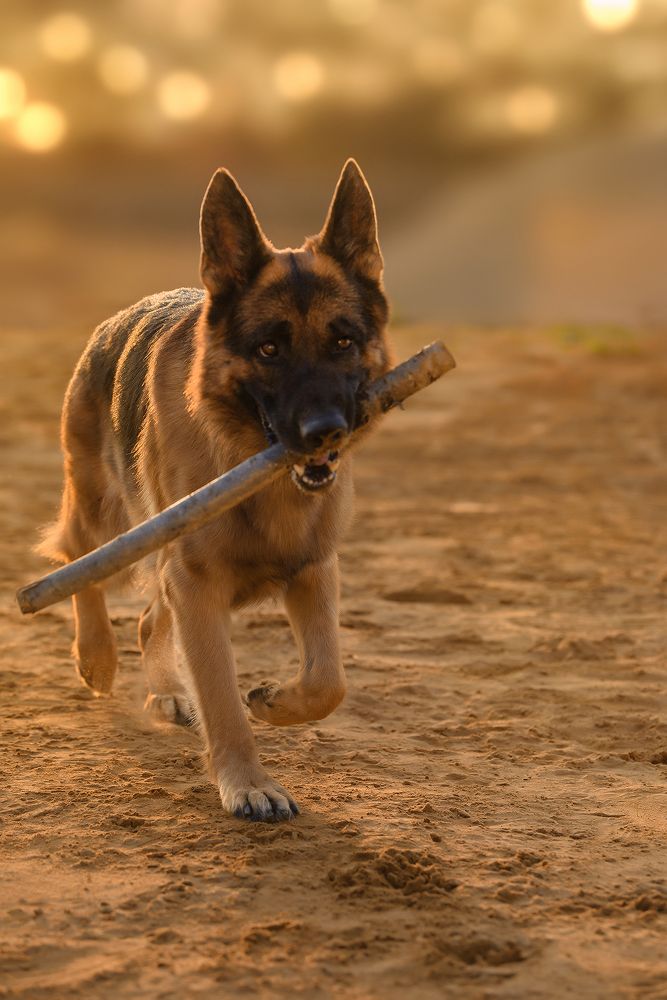 Photograph by Светлана Трушева