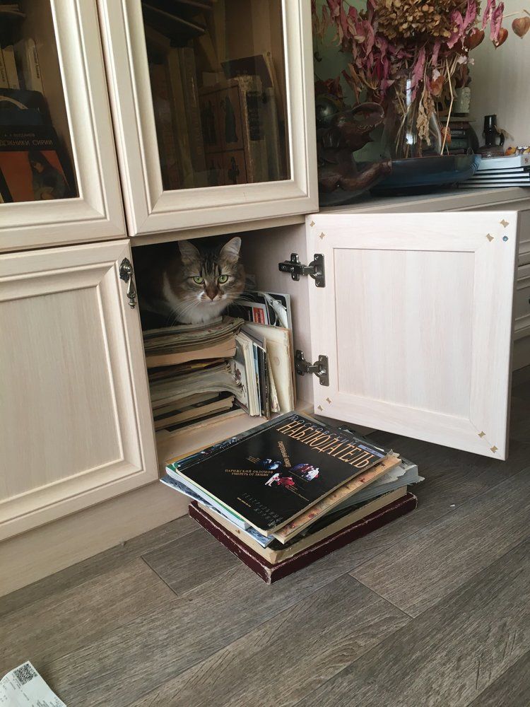 Наблюдатель