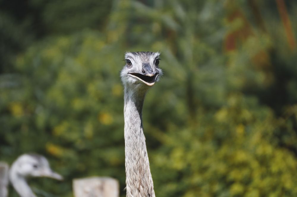 Photograph by Katya Slavich