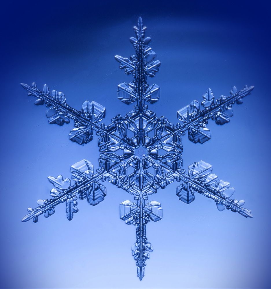 Зимняя драгоценность