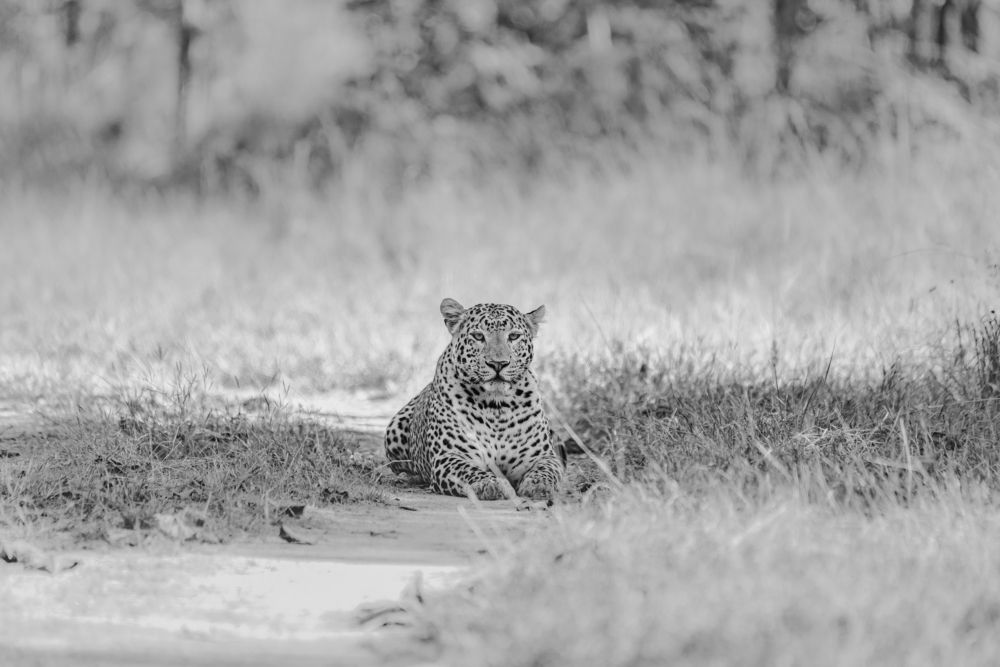 Photograph by Kshitij Patle