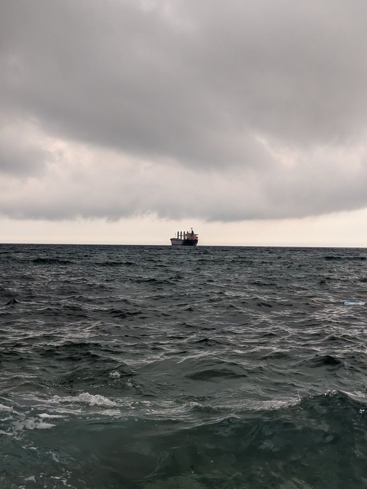 Фотография автора Евгений Петросян