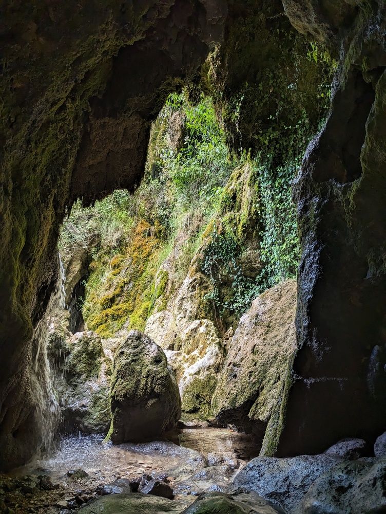 Фотография автора Евгений Петросян