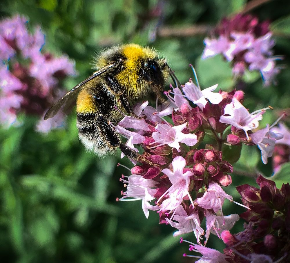 Photograph by Евгения Д