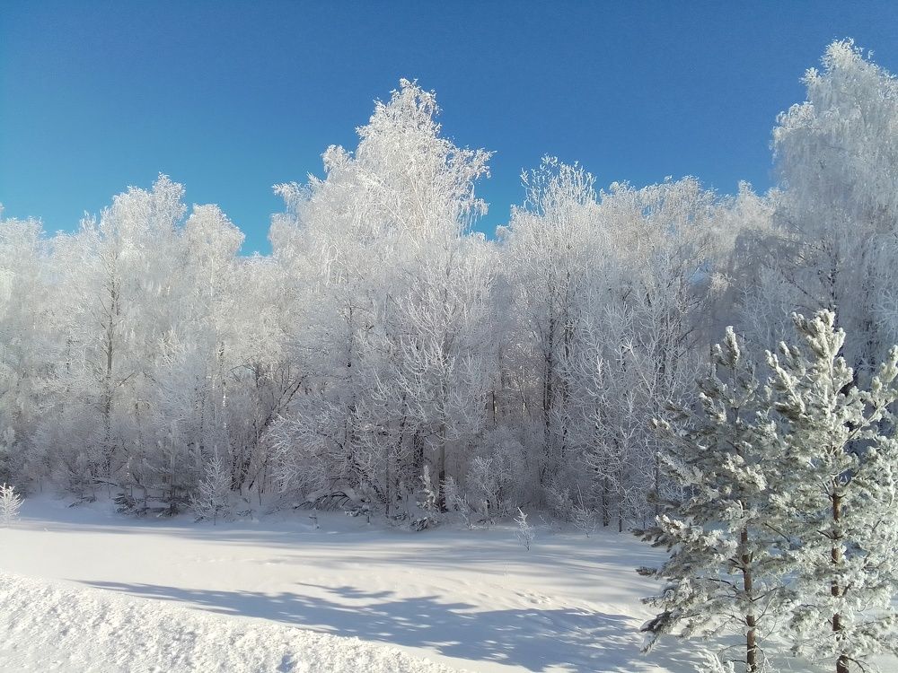"  день чудесный..."