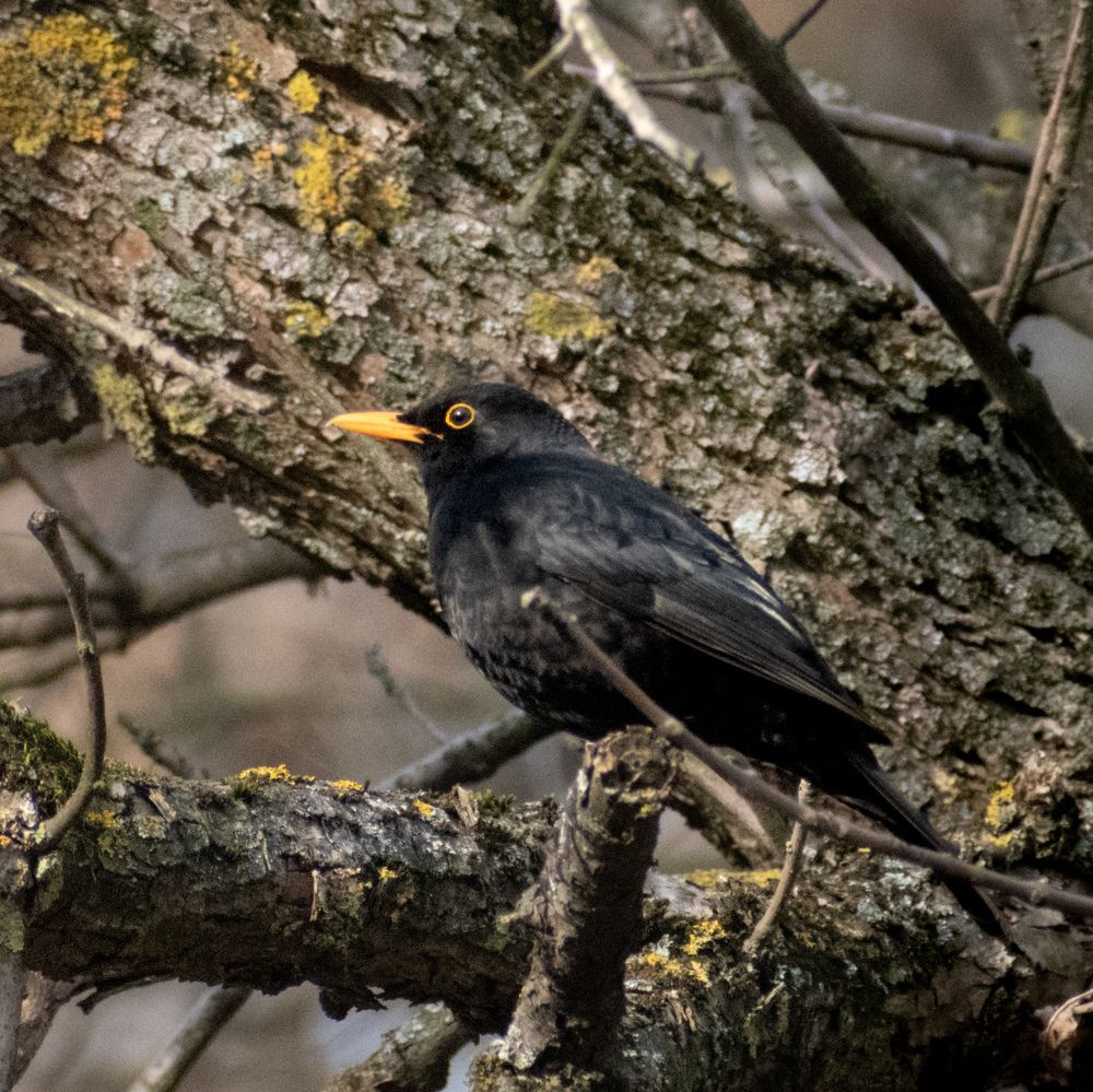 Photograph by Ђорђевић Милан