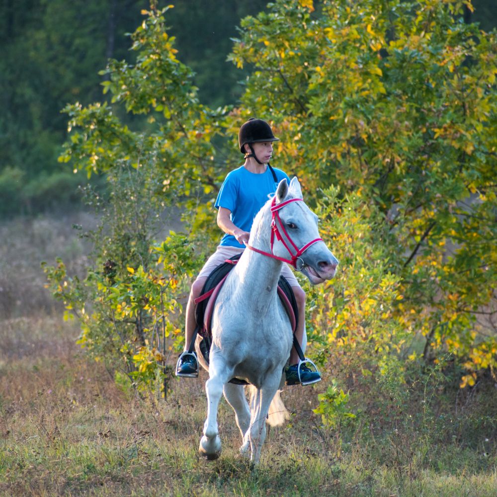 Photograph by Ђорђевић Милан