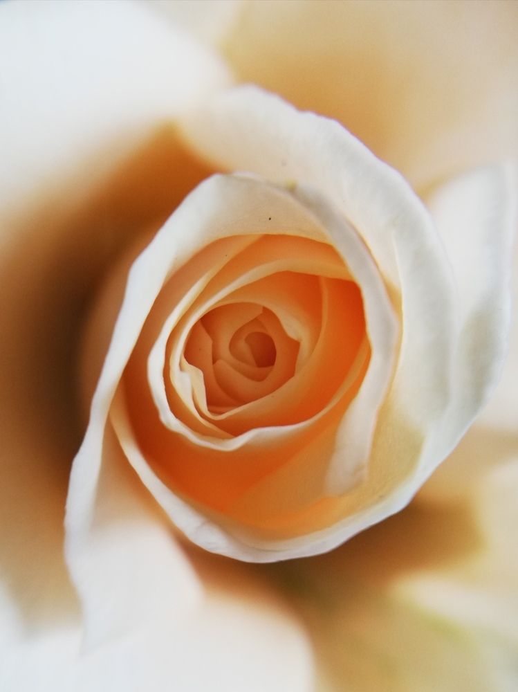 Фотография автора Kristine Sargsyan