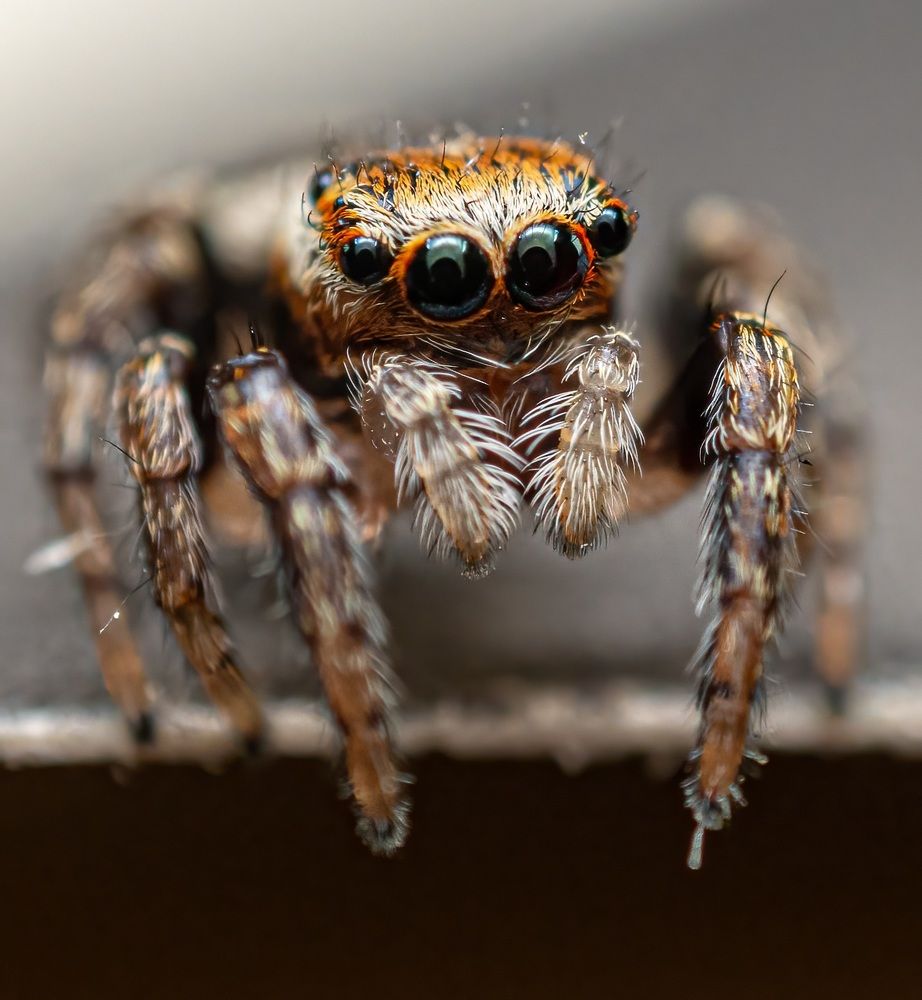 Photograph by Сергей