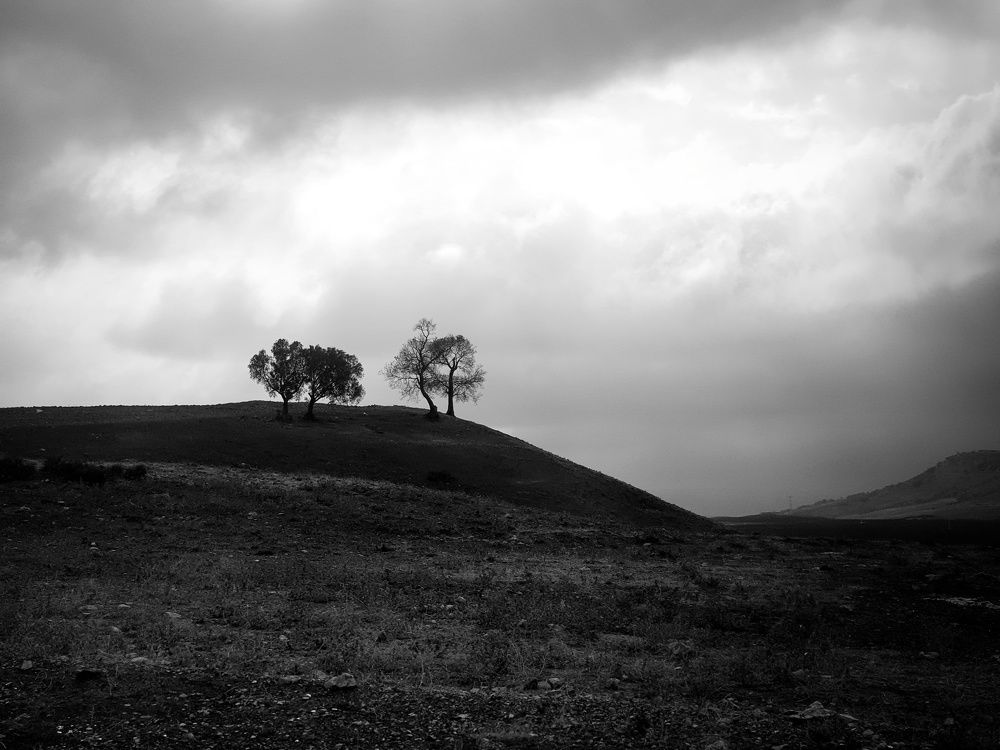 Photograph by Ahmad LOUKILI