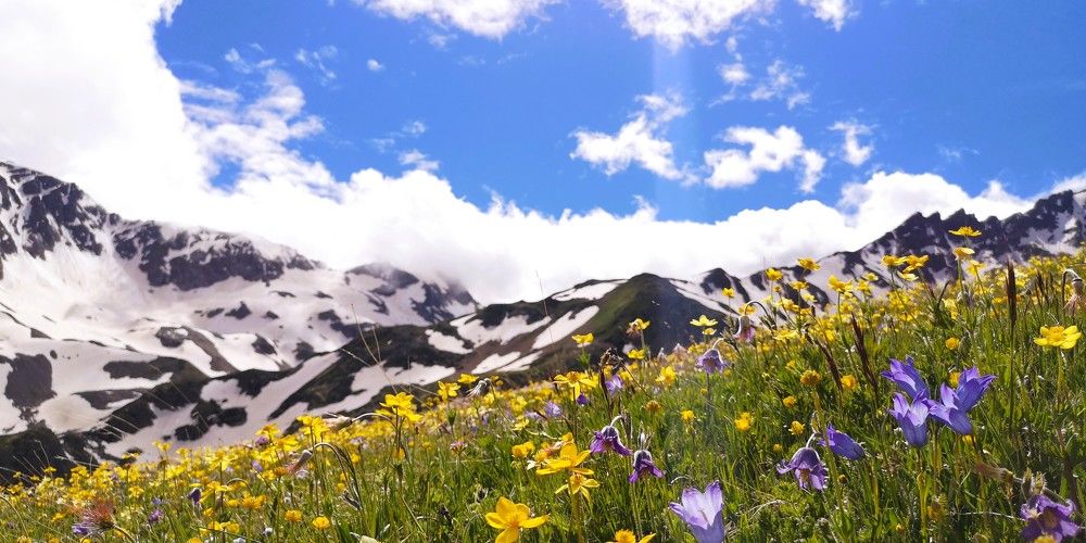 Photograph by Наталия Мельникова