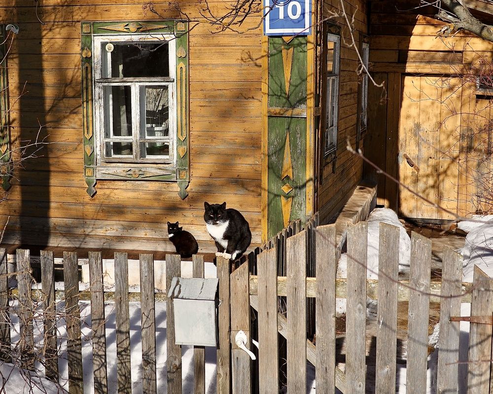 Photograph by Андрей Измайлов