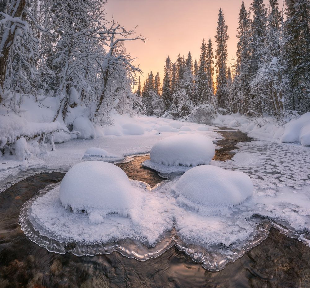 Шляпное изобилие.