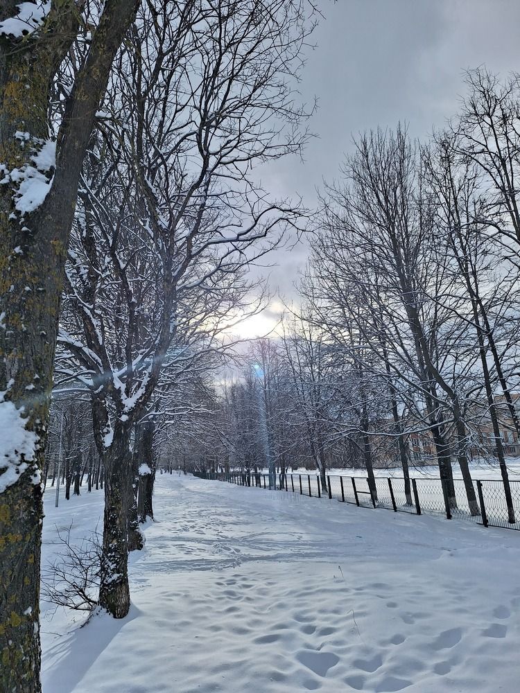 Photograph by Вера