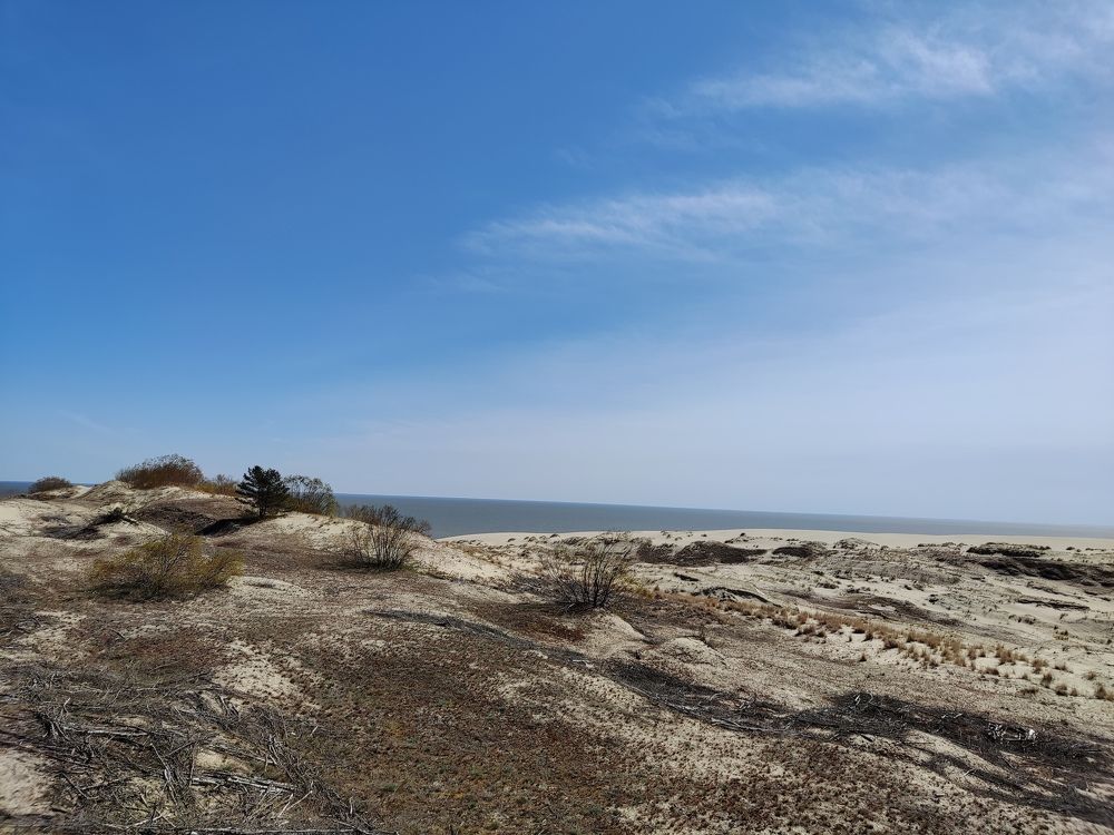 Photograph by Ольга