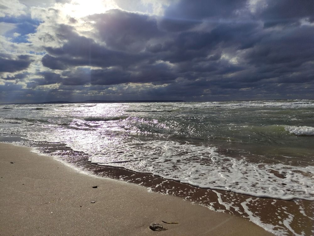 Перед штормом.