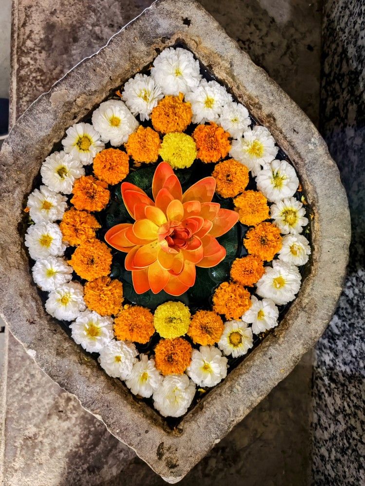 Фотография автора Jayant Gadekar