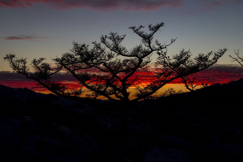 Photograph by Владислав Румянцев