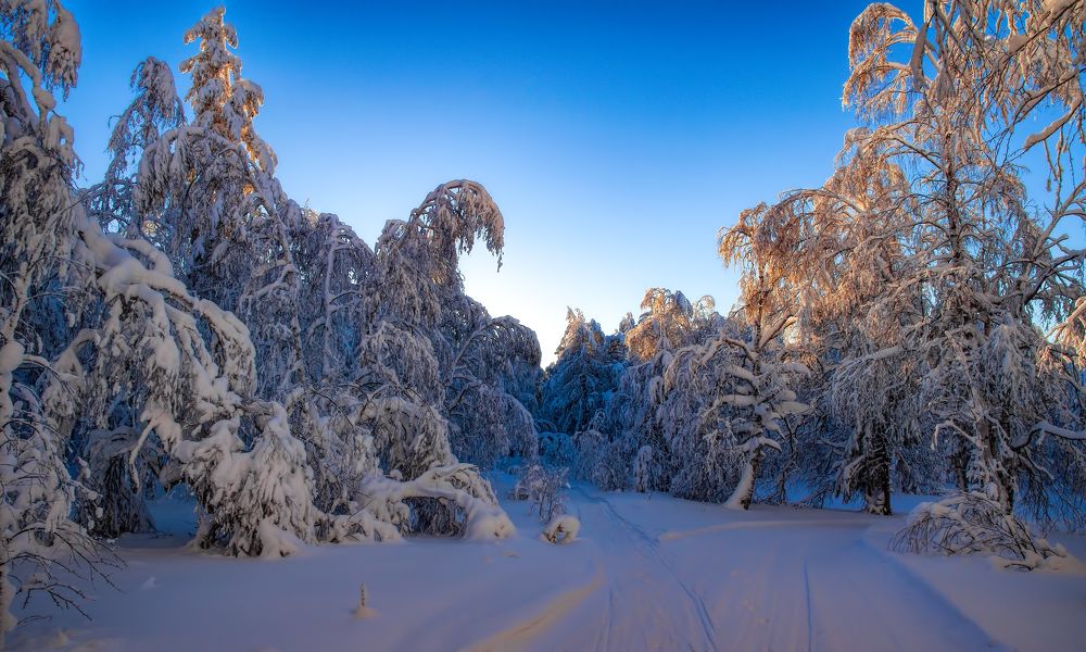 Photograph by Vladim Bormotov