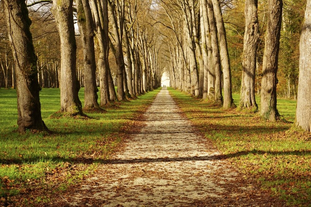 Фотография автора Liudmila Kiermeier