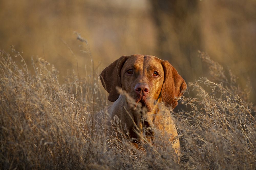 Photograph by Эльнара Васифовна