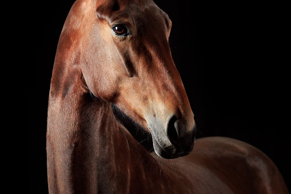 Photograph by Дарья Ералева