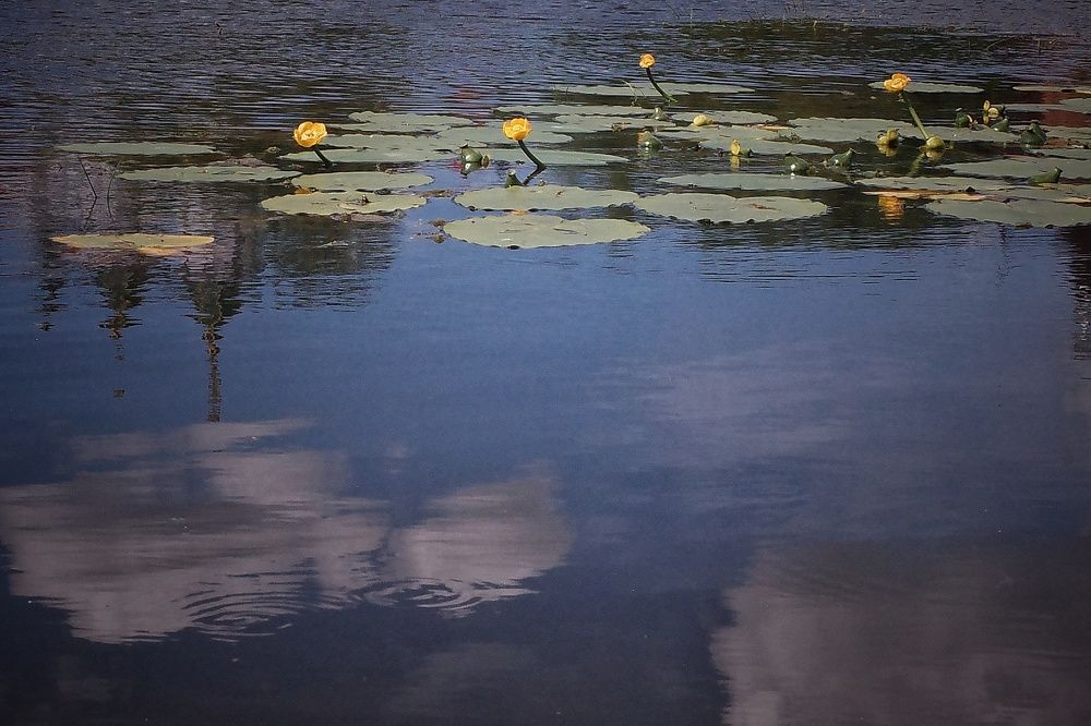 Photograph by Наталья Сафронова