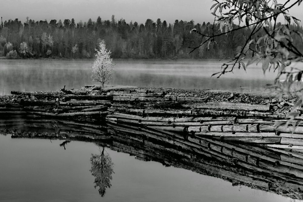 Photograph by Владимир Максименков