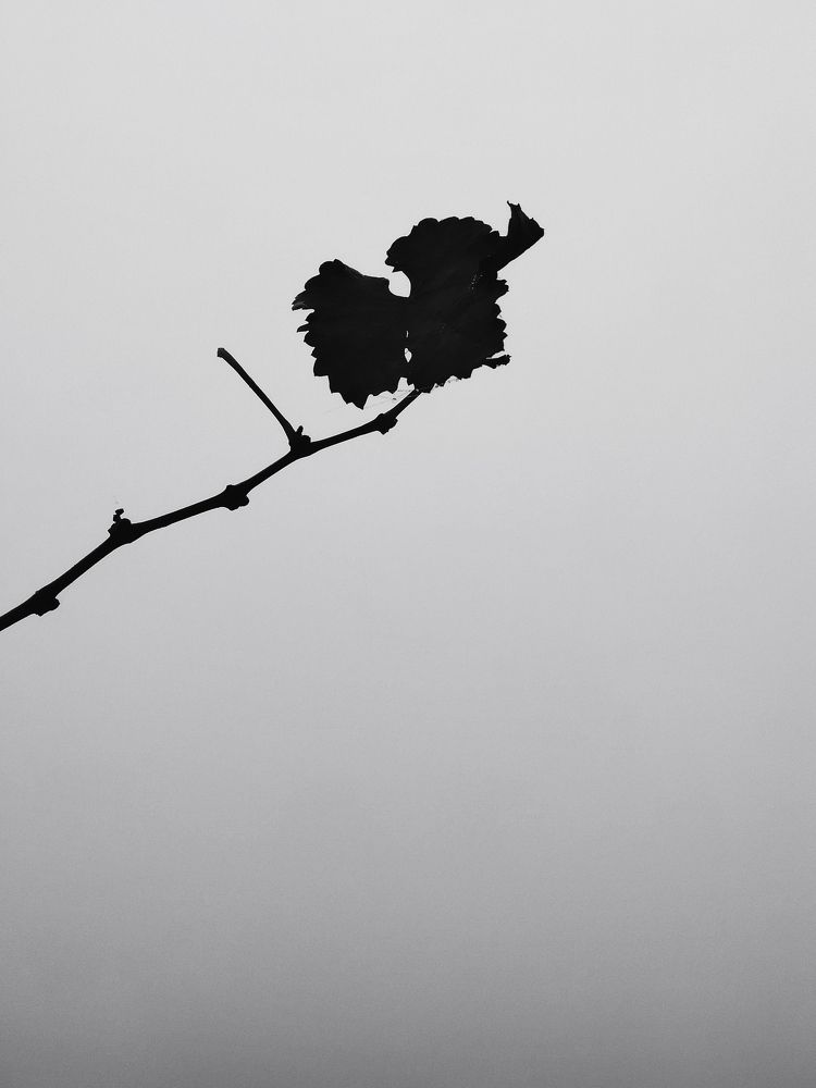 Photograph by Николай Шпилевой