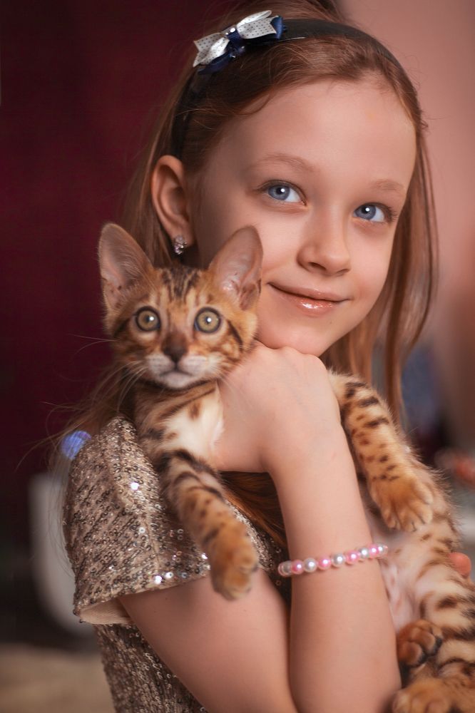 Фотография автора Людмила Аверина