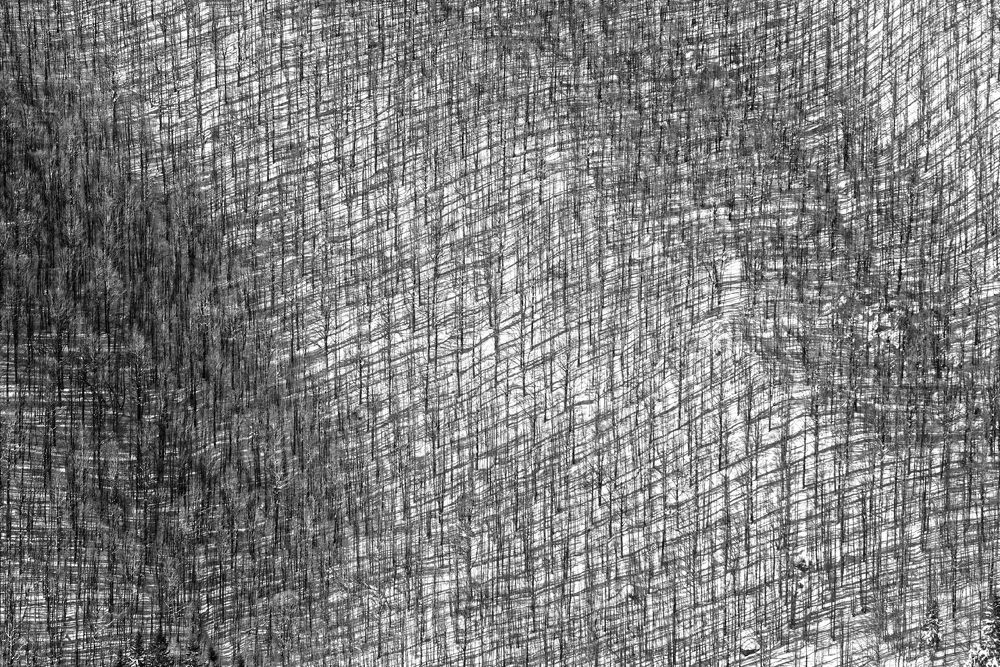 Фотография автора Andrea Gabrieli