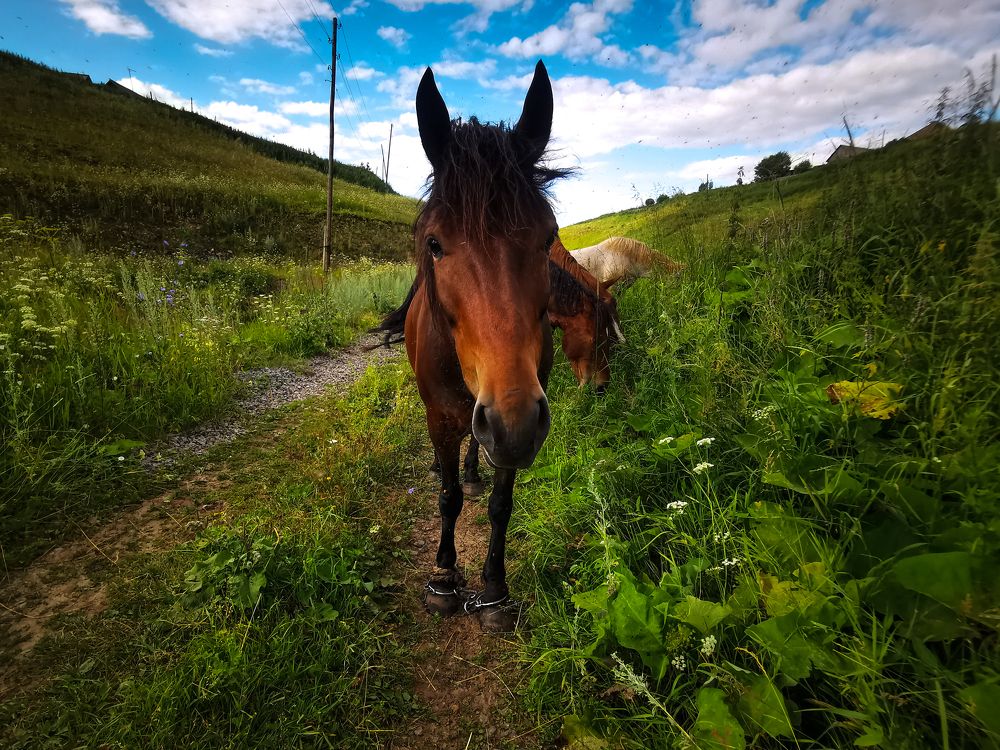 Photograph by Максим Шарыгин