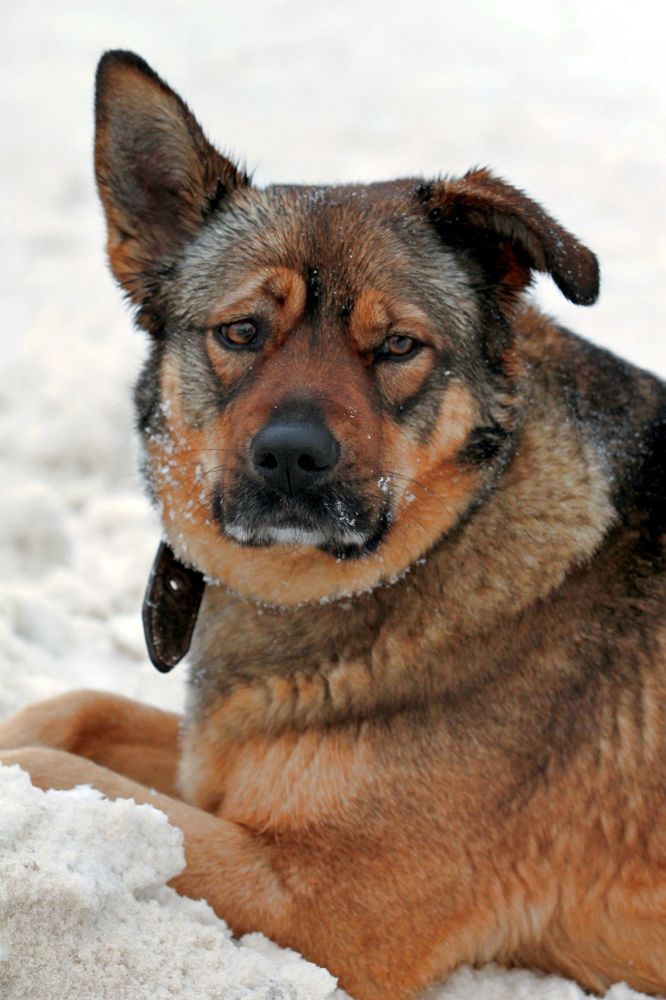 Photograph by Анна Шаповалова