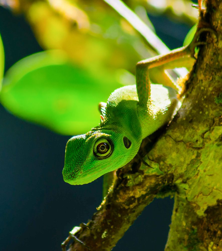 Photograph by Jaztin A/L Philips