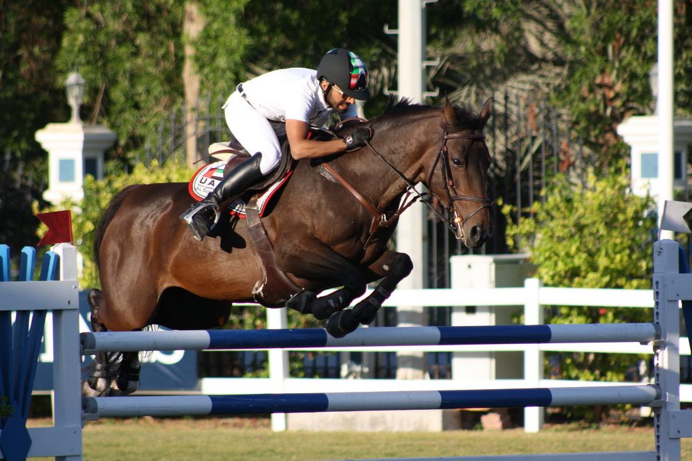 Фотография автора Omar Sanad