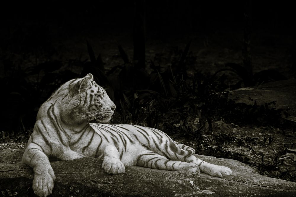 Photograph by Наталья Кокорина