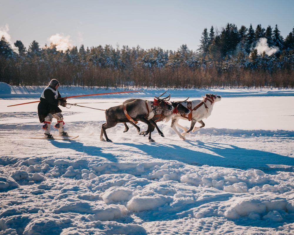 Фотография автора Яврова Татьяна