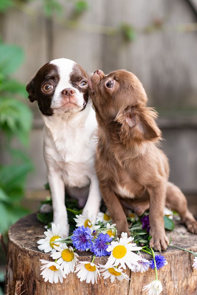 Photograph by Лариса Ежкова