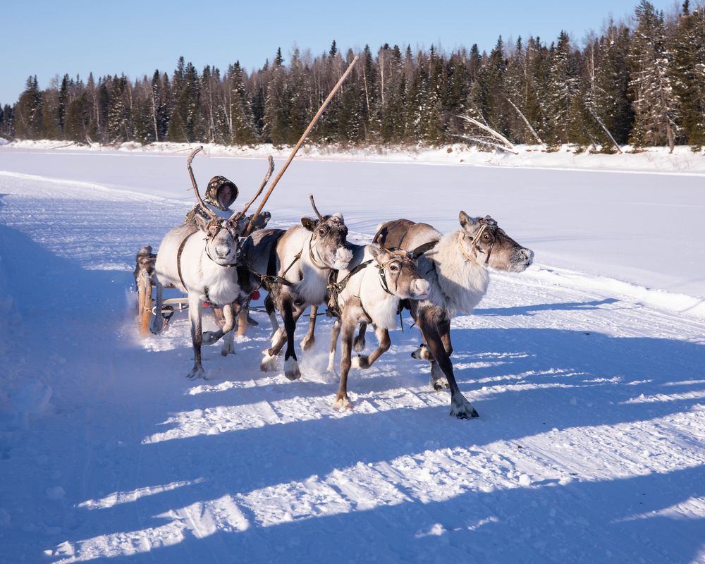 Фотография автора Яврова Татьяна