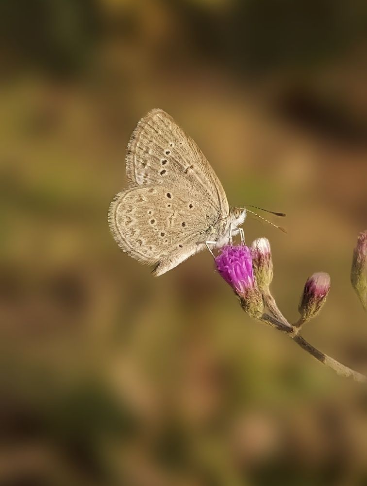 Photograph by Piyali Dutta